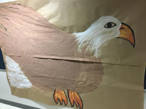 What does it mean to be a SOARing McKinney Eagle? 